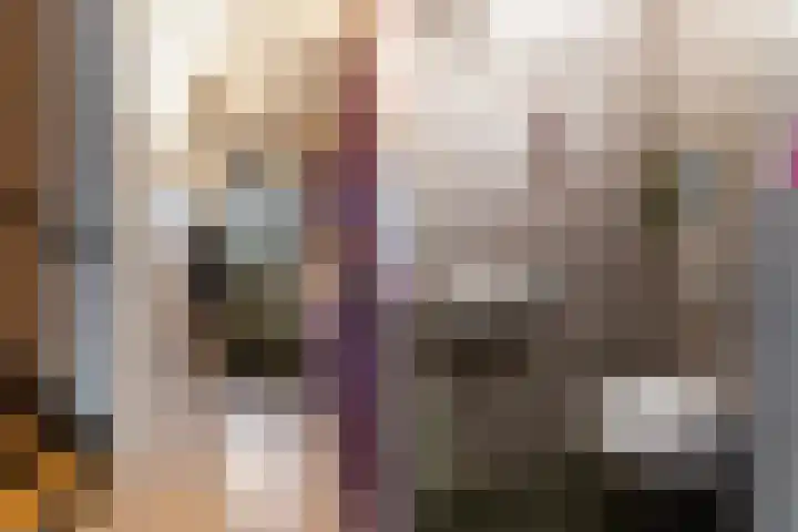 Kastanjeboleet 30 Apeldoorn thumbnail 6