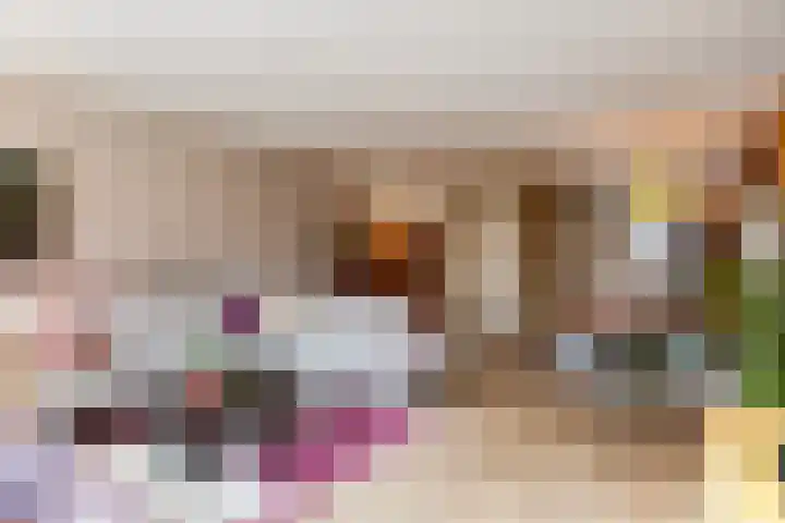 Kastanjeboleet 30 Apeldoorn thumbnail 7