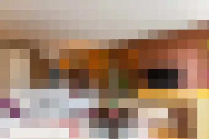 Kastanjeboleet 30 Apeldoorn thumbnail 9