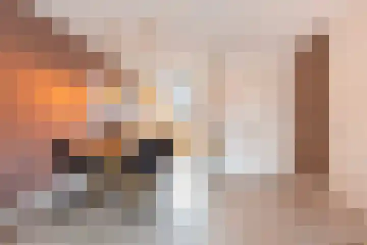 Kastanjeboleet 32 Apeldoorn thumbnail 10