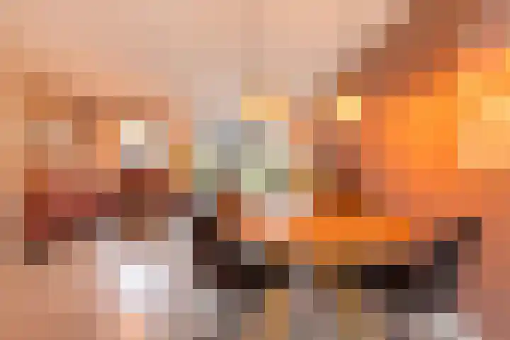 Kastanjeboleet 32 Apeldoorn thumbnail 14