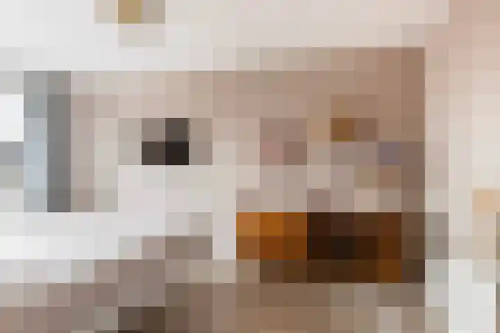Kastanjeboleet 32 Apeldoorn thumbnail 17