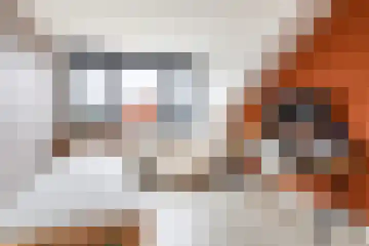 Kastanjeboleet 32 Apeldoorn thumbnail 23