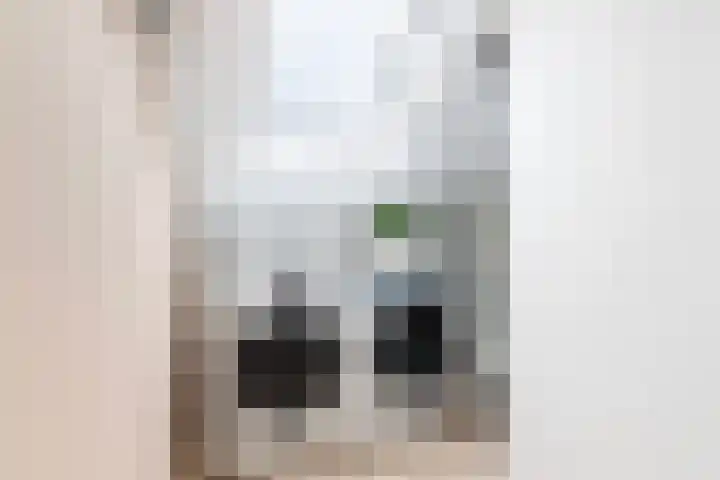 Kastanjeboleet 32 Apeldoorn thumbnail 27