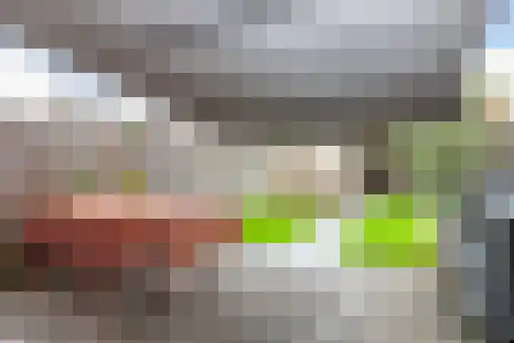 Kastanjeboleet 32 Apeldoorn thumbnail 28