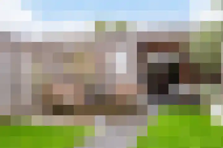 Kastanjeboleet 32 Apeldoorn thumbnail 29