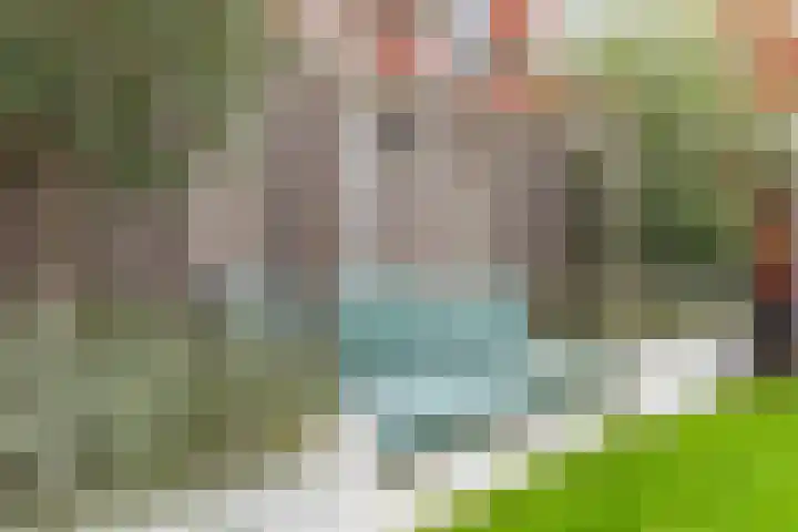 Kastanjeboleet 32 Apeldoorn thumbnail 30