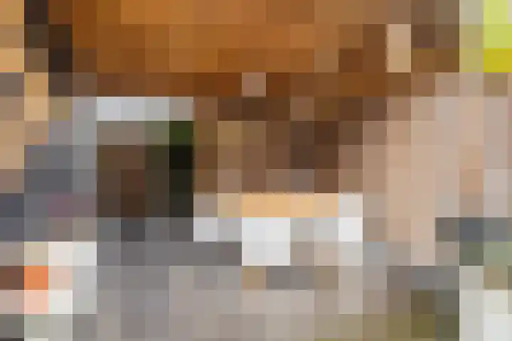 Kastanjeboleet 32 Apeldoorn thumbnail 31