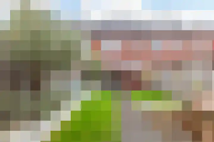 Kastanjeboleet 32 Apeldoorn thumbnail 34