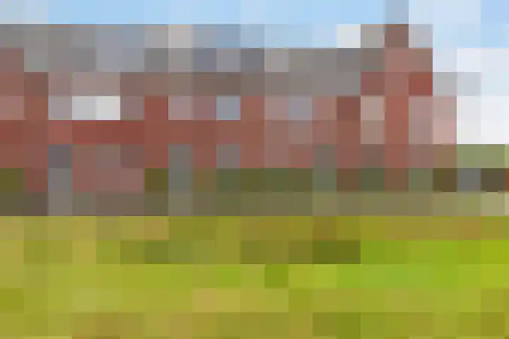 Kastanjeboleet 32 Apeldoorn thumbnail 37