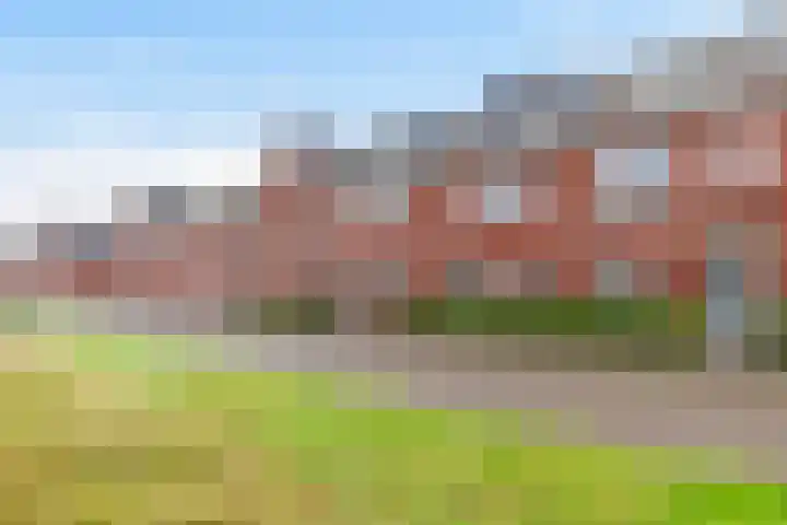 Kastanjeboleet 32 Apeldoorn thumbnail 38