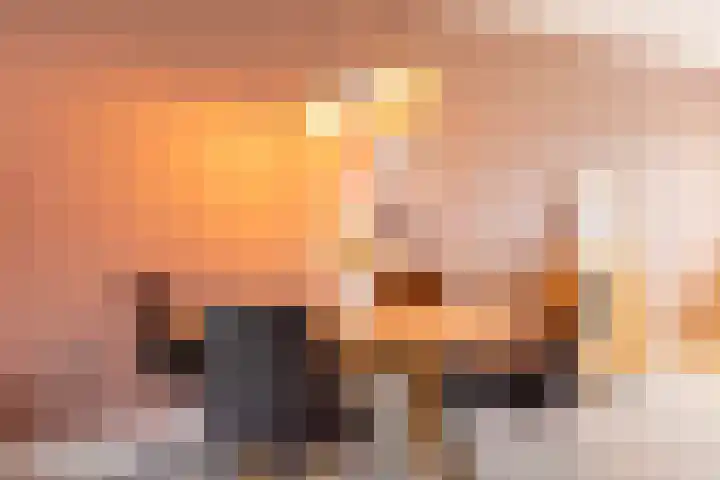 Kastanjeboleet 32 Apeldoorn thumbnail 4