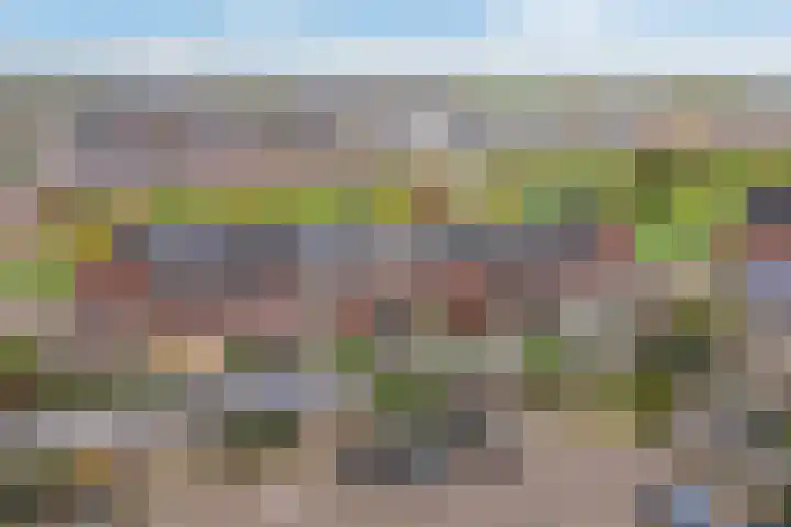 Kastanjeboleet 32 Apeldoorn thumbnail 42