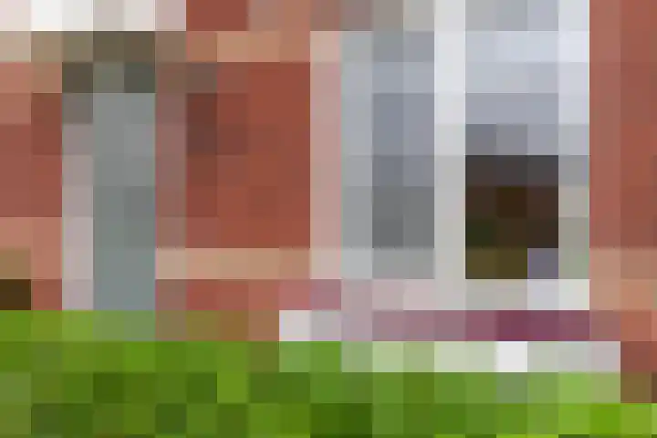 Kastanjeboleet 32 Apeldoorn thumbnail 5
