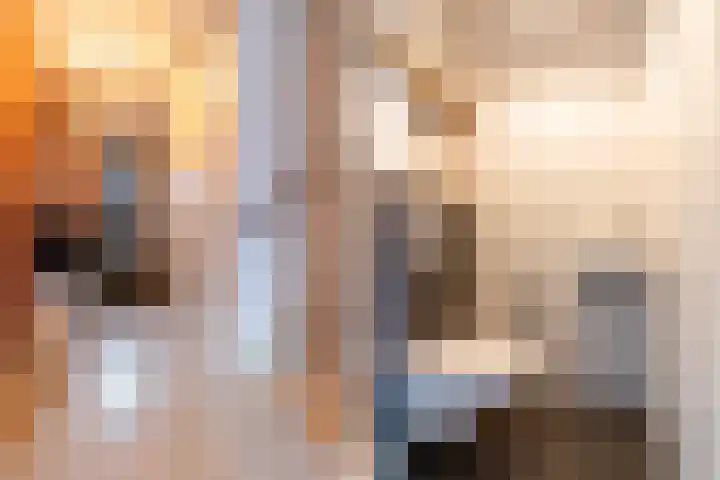 Kastanjeboleet 32 Apeldoorn thumbnail 6