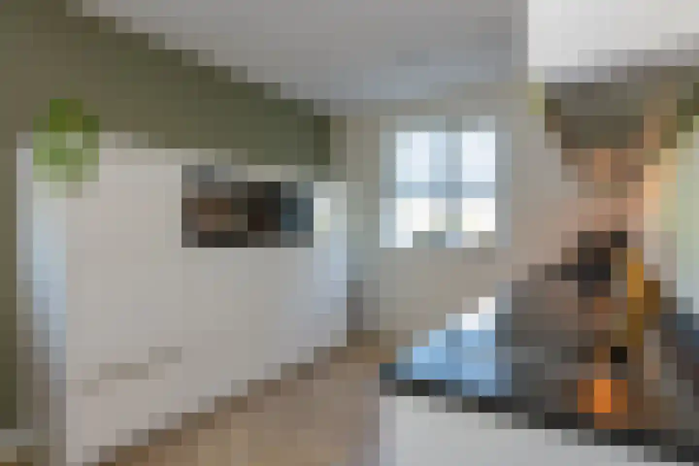 Kastanjeboleet 48 Apeldoorn thumbnail 12