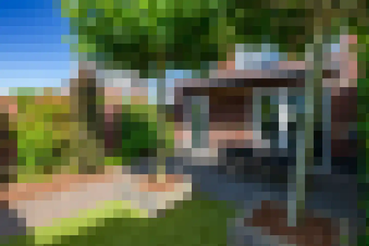Kastanjeboleet 48 Apeldoorn thumbnail 17
