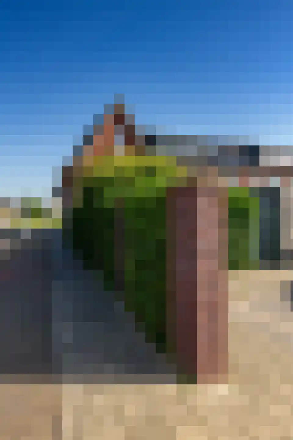 Kastanjeboleet 48 Apeldoorn thumbnail 38