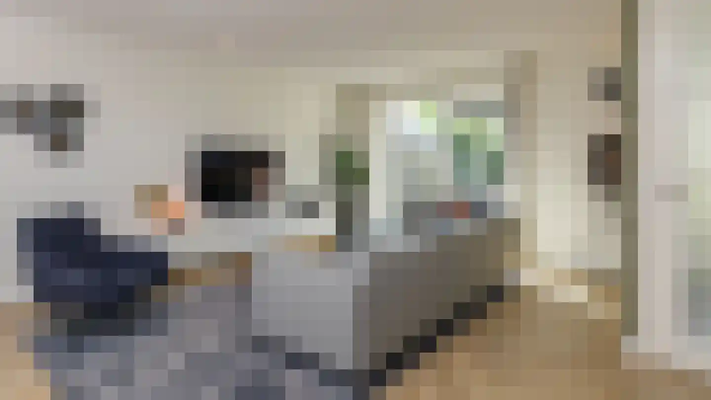 Kastanjeboleet 48 Apeldoorn thumbnail 7