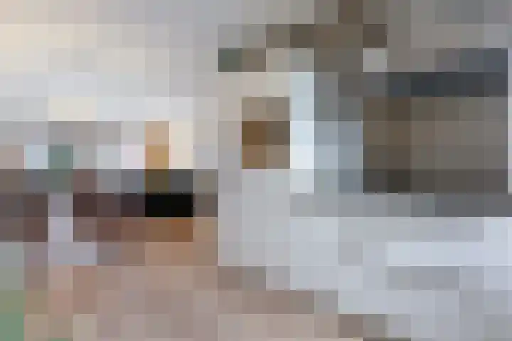 Kastanjeboleet 6 Apeldoorn thumbnail 10