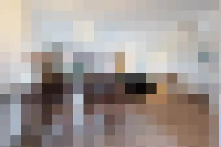 Kastanjeboleet 6 Apeldoorn thumbnail 11