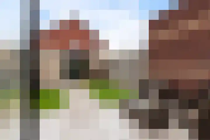 Kastanjeboleet 6 Apeldoorn thumbnail 12