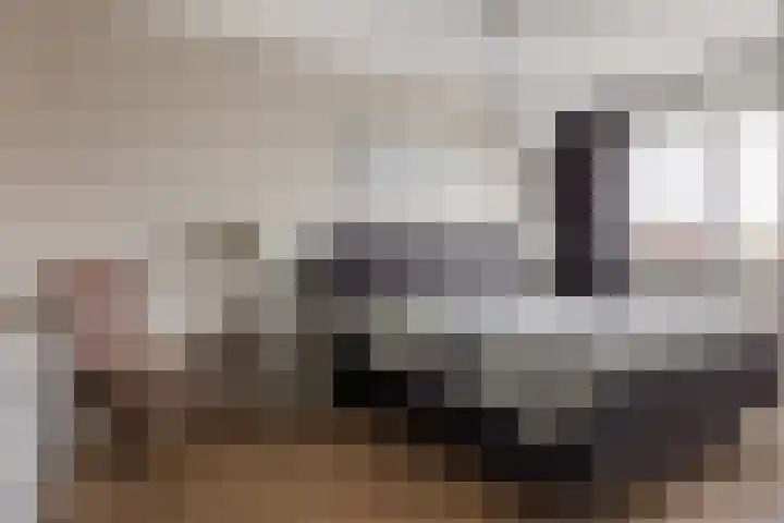 Kastanjeboleet 6 Apeldoorn thumbnail 17