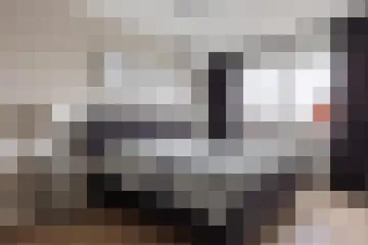 Kastanjeboleet 6 Apeldoorn thumbnail 18