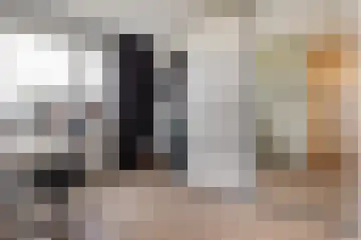 Kastanjeboleet 6 Apeldoorn thumbnail 23