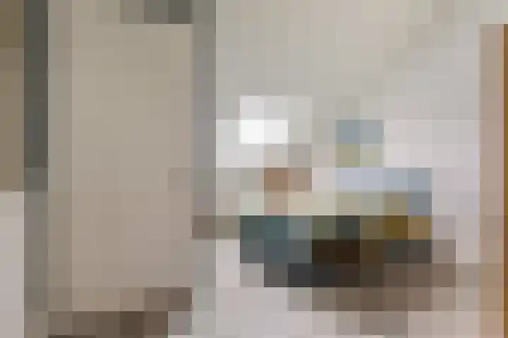 Kastanjeboleet 6 Apeldoorn thumbnail 26