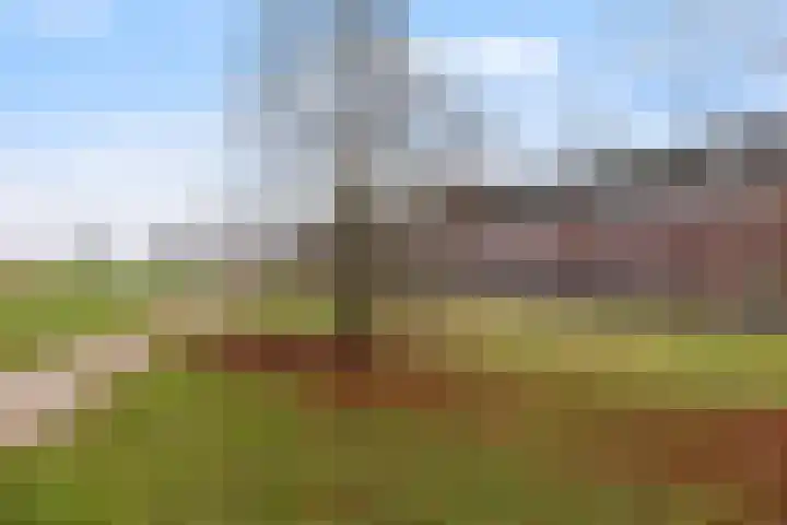 Kastanjeboleet 6 Apeldoorn thumbnail 30