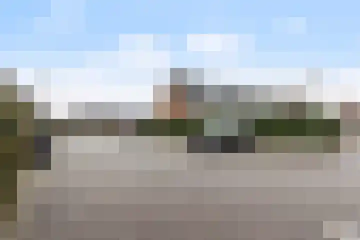 Kastanjeboleet 6 Apeldoorn thumbnail 31