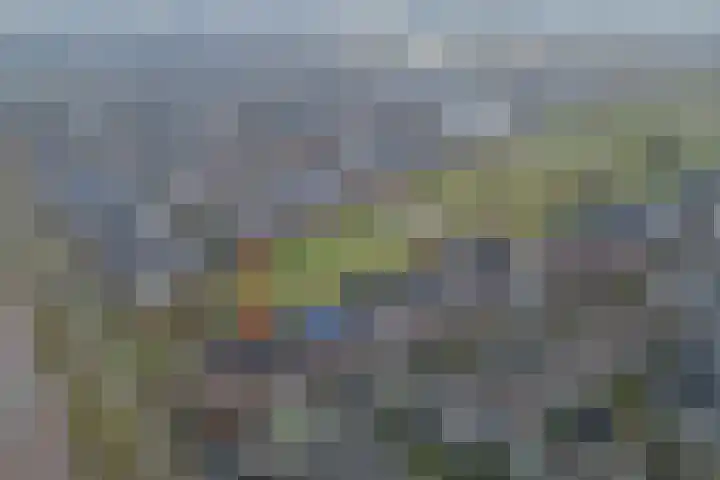 Kastanjeboleet 6 Apeldoorn thumbnail 33