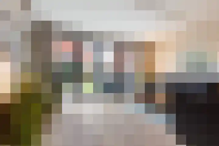 Kastanjeboleet 6 Apeldoorn thumbnail 4