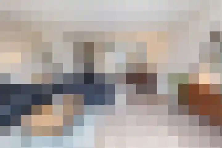 Kastanjeboleet 6 Apeldoorn thumbnail 5