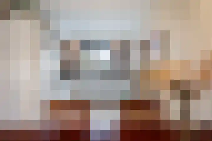 Kastanjeboleet 6 Apeldoorn thumbnail 7