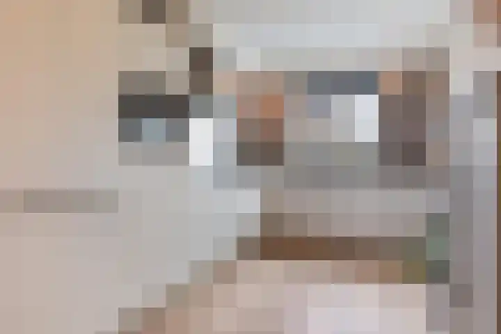 Kastanjeboleet 6 Apeldoorn thumbnail 8