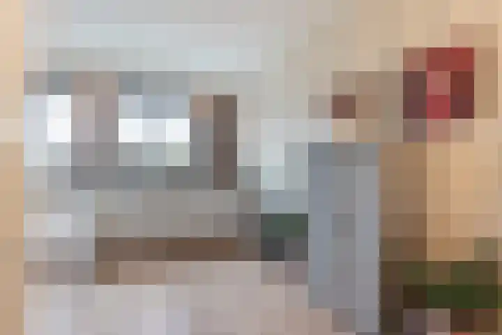 Kastanjeboleet 6 Apeldoorn thumbnail 9