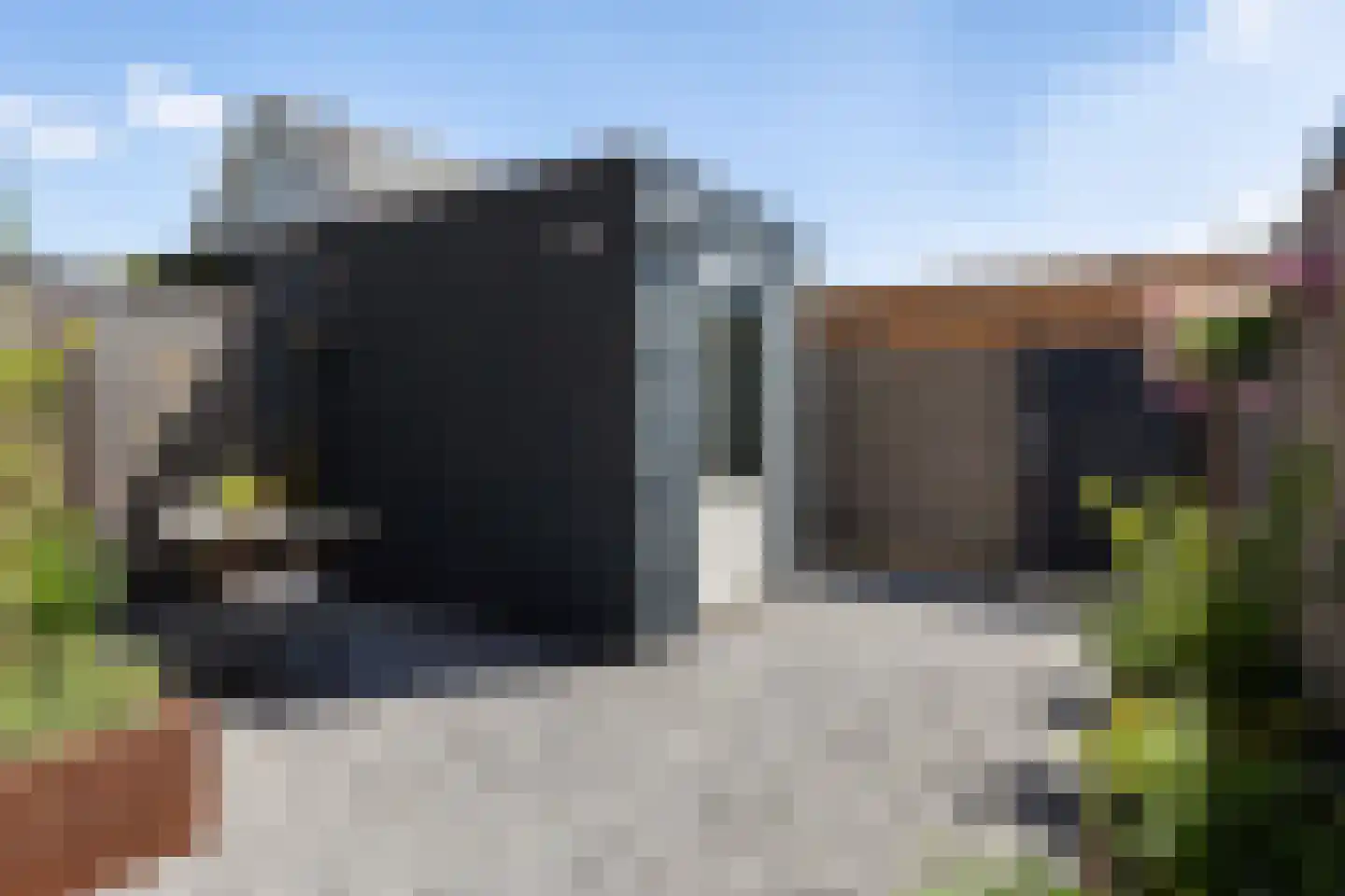 Kastanjeboleet 74 Apeldoorn thumbnail 15