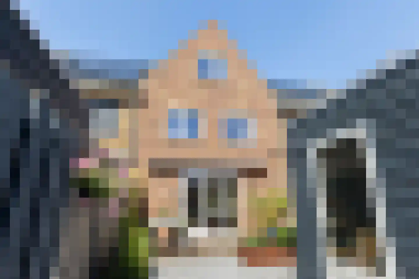 Kastanjeboleet 74 Apeldoorn thumbnail 18