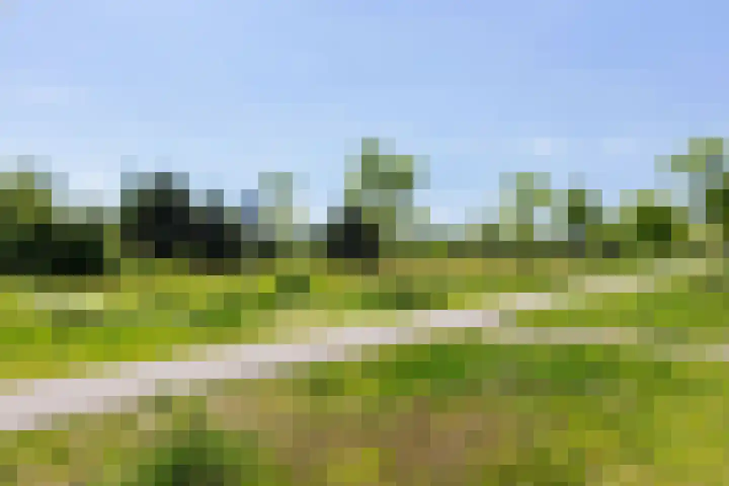 Kastanjeboleet 74 Apeldoorn thumbnail 37