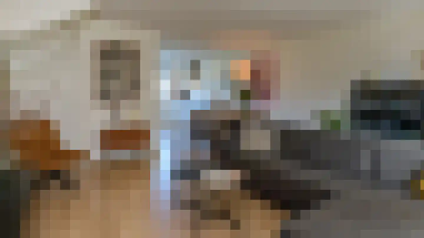 Kastanjeboleet 76 Apeldoorn thumbnail 14