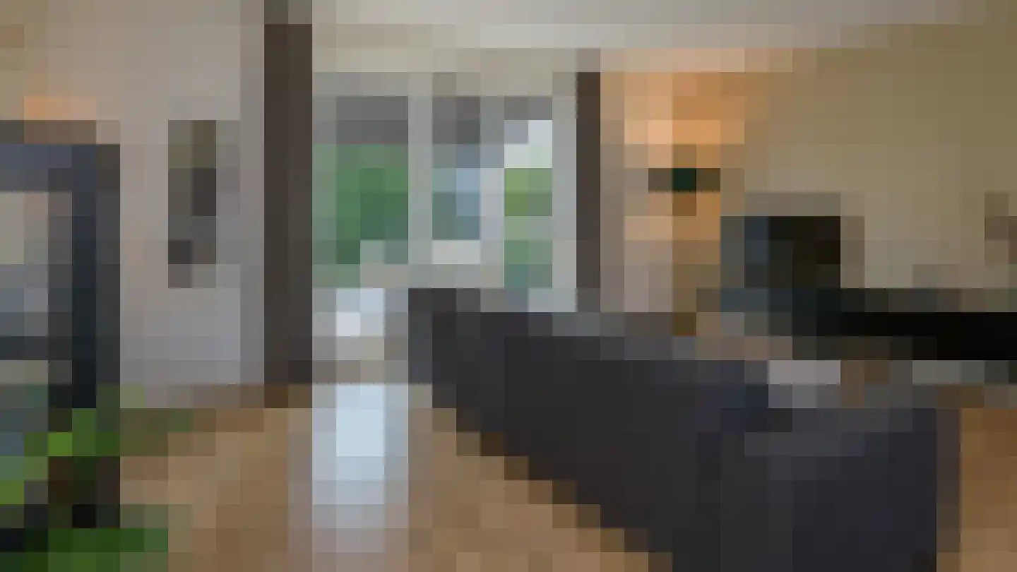 Kastanjeboleet 76 Apeldoorn thumbnail 17