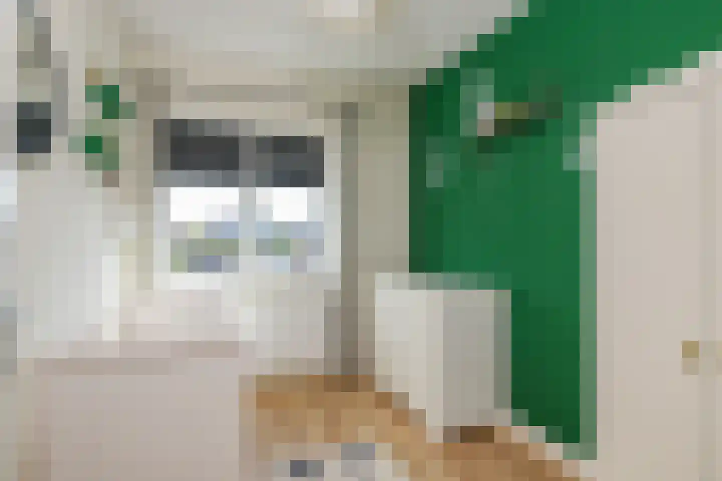 Kastanjeboleet 76 Apeldoorn thumbnail 18