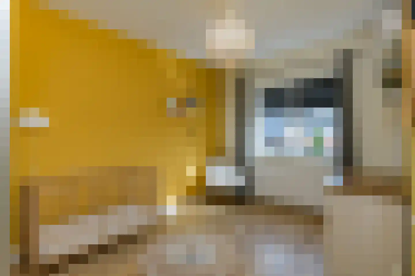 Kastanjeboleet 76 Apeldoorn thumbnail 19