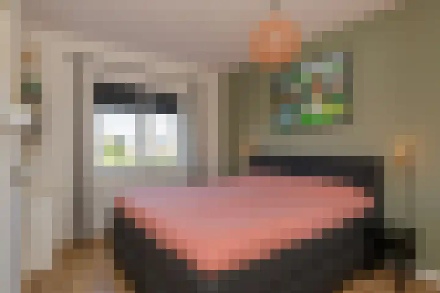 Kastanjeboleet 76 Apeldoorn thumbnail 20