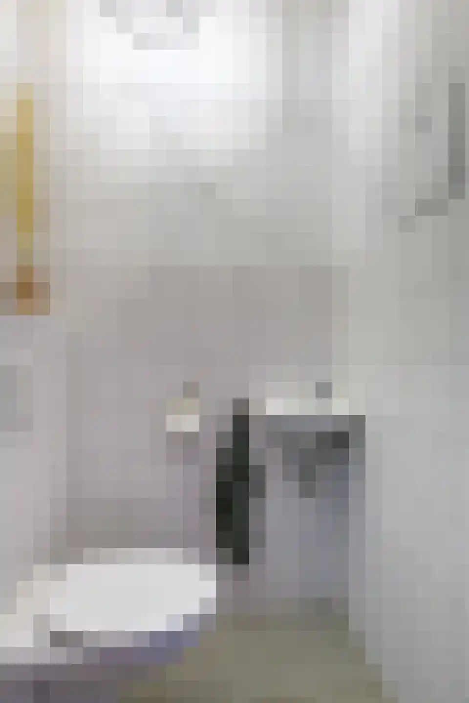 Kastanjeboleet 76 Apeldoorn thumbnail 8