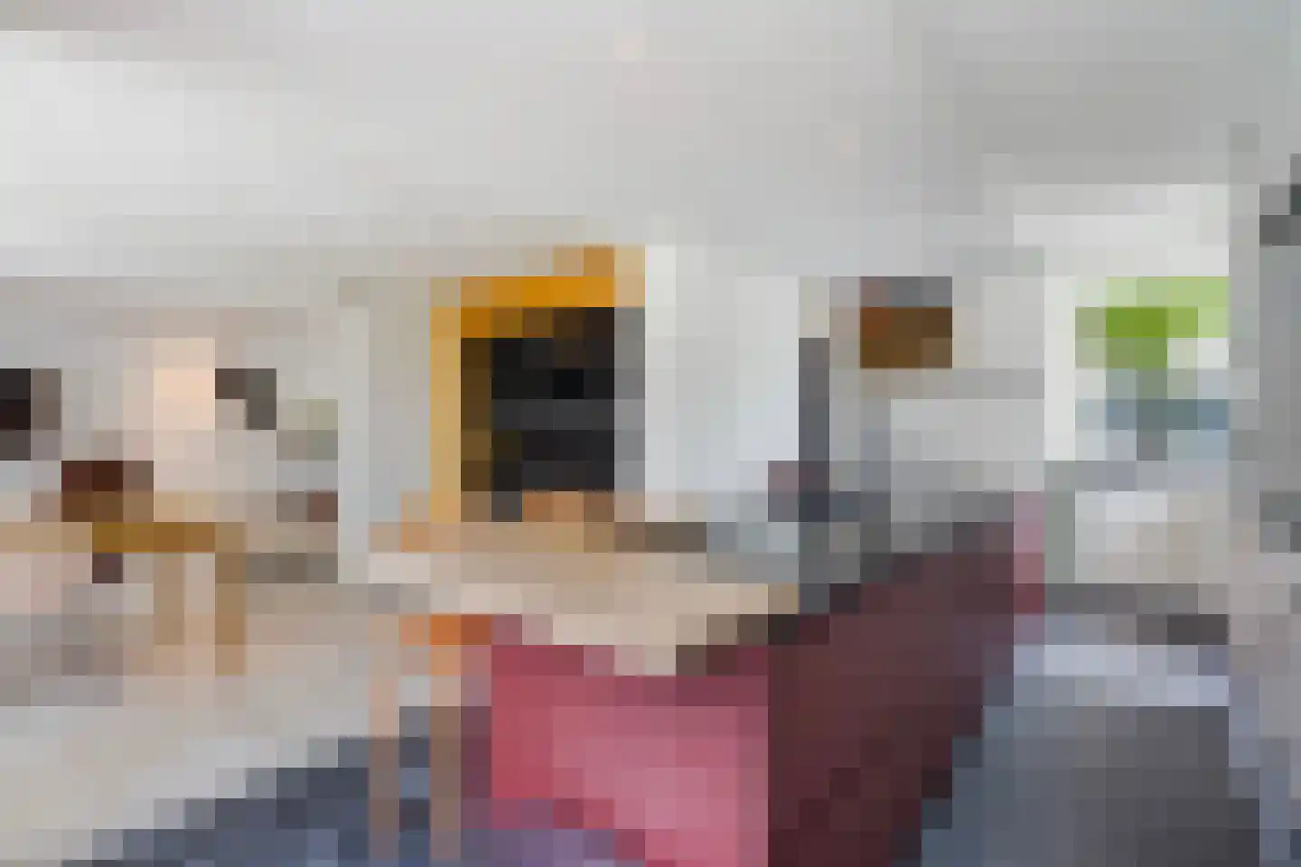 Kastanjedal 10 Maassluis thumbnail 10