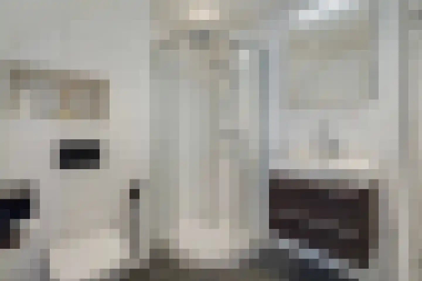 Kastanjedal 10 Maassluis thumbnail 16
