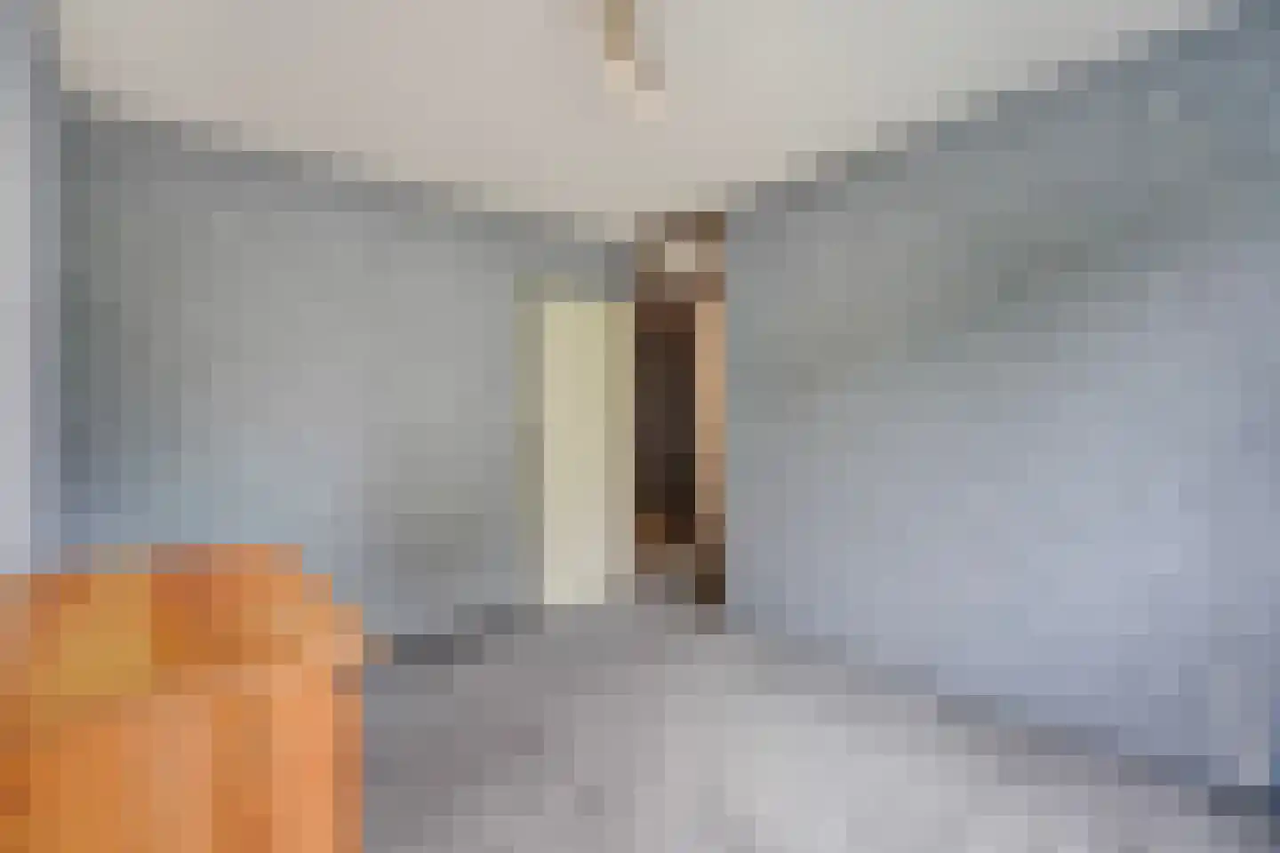Kastanjedal 10 Maassluis thumbnail 36